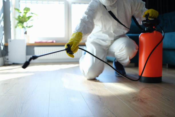 Reliable Odor Removal contractor in George, IA by Crime Scene Cleaner Online